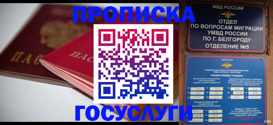 временная регистрация собственник в Шебекино